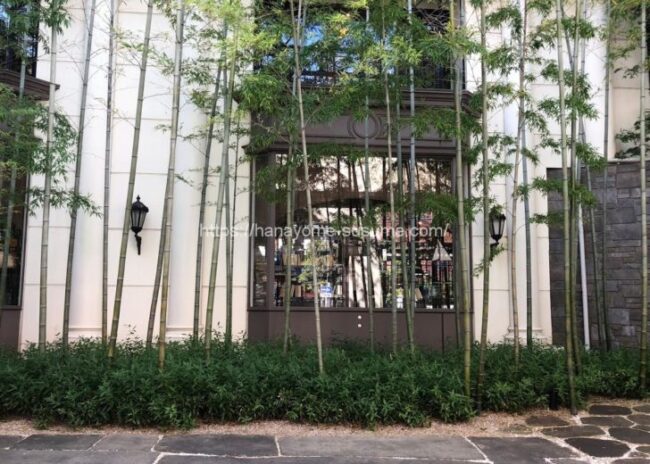 横浜迎賓館のエントランスにある竹